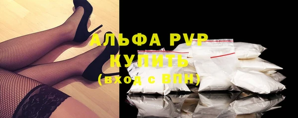 СК Бронницы