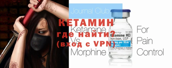 ПСИЛОЦИБИНОВЫЕ ГРИБЫ Богданович