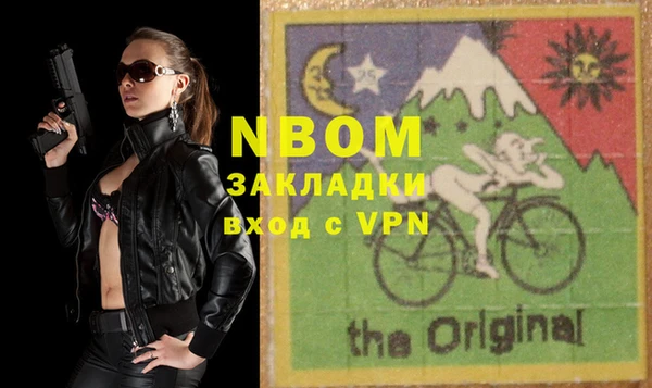 молекула духа Богородицк