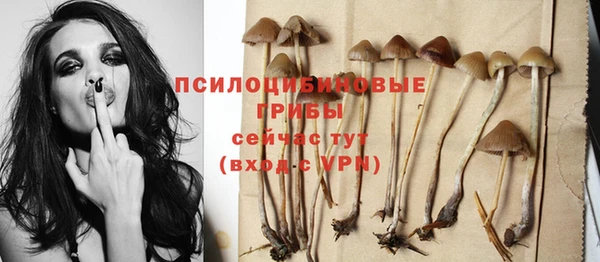 каннабис Болотное