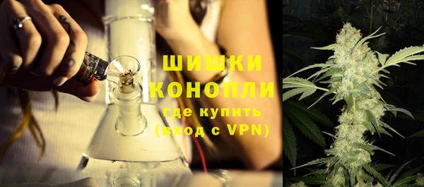 молекула духа Богородицк